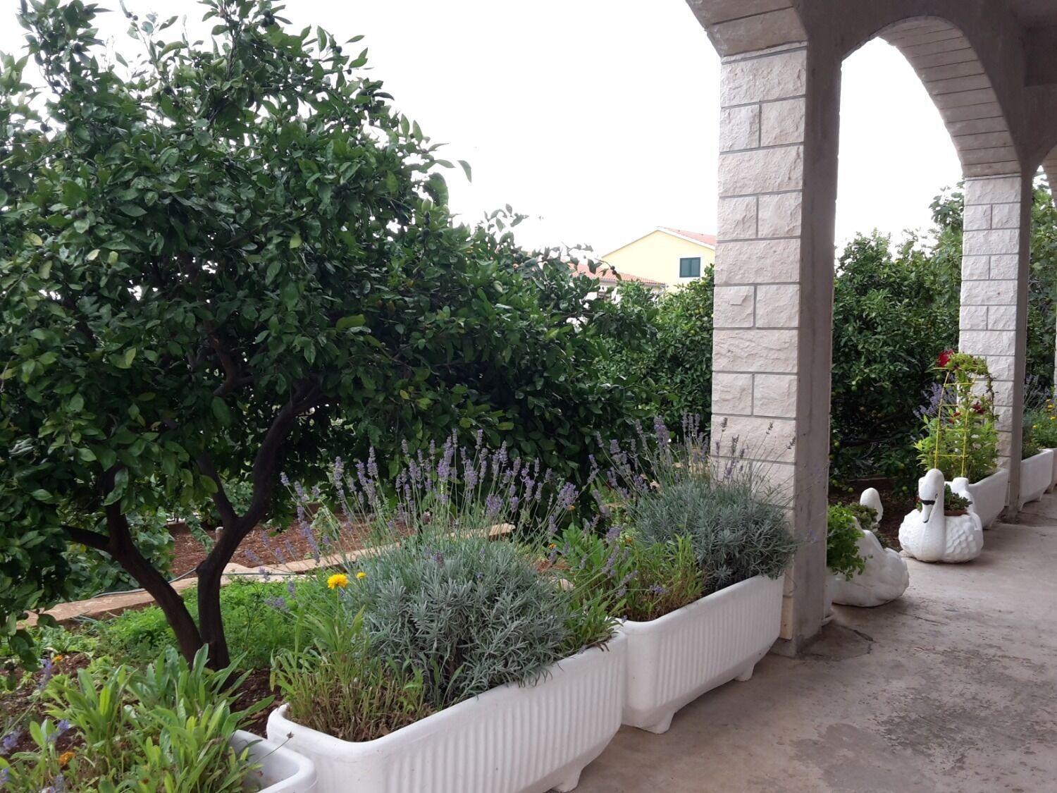 Apartments Josi - Parking And Barbecue Grebastica Bagian luar foto